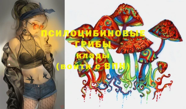 бошки Киреевск