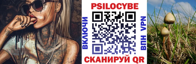 Галлюциногенные грибы Psilocybine cubensis  omg вход  Назрань  даркнет сайт 